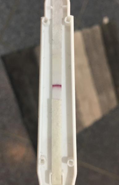 Bild zu Schwangerschaft Test - Kinderwunsch - bitte noch ein Baby