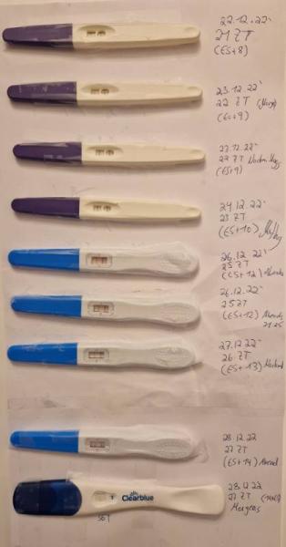 Bild zu Was haltet ihr davon ? - Kinderwunsch - bitte noch ein Baby