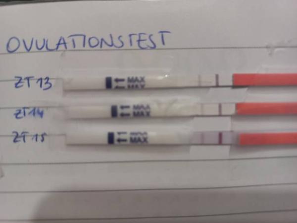 Bild zu Lh Tests - Kinderwunsch - bitte noch ein Baby