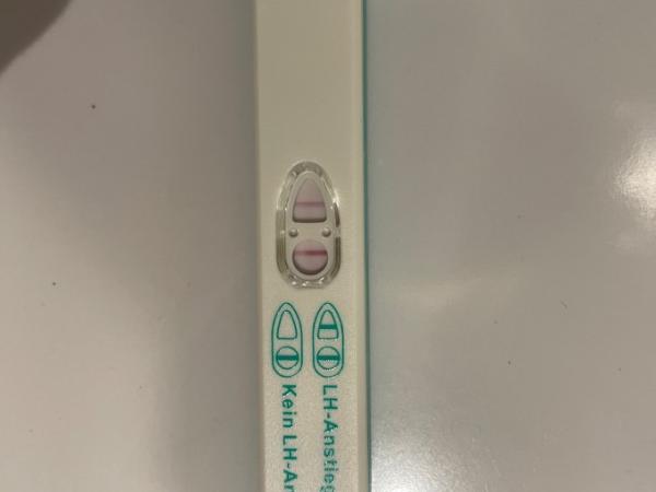 Bild zu Was sagt ihr zu dem OVU? - Kinderwunsch - bitte noch ein Baby