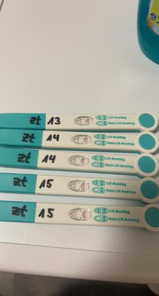 Bild zu Ovulationstest/ Eisprung Positiv oder Negativ - Kinderwunsch - bitte noch ein Baby