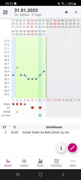 Bild zu 