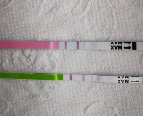Bild zu Beide Ovus positiv oder nicht? - Kinderwunsch - bitte noch ein Baby