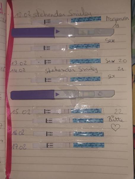 Bild zu Clearblue Ovulationstest - Kinderwunsch - bitte noch ein Baby