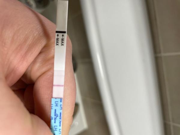 Bild zu Ovu immer noch positiv? - Kinderwunsch - bitte noch ein Baby