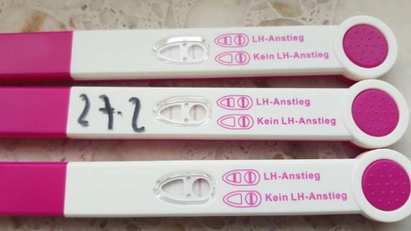 Bild zu Ovulationstest, welche ist Postiv für euch? - Kinderwunsch - bitte noch ein Baby