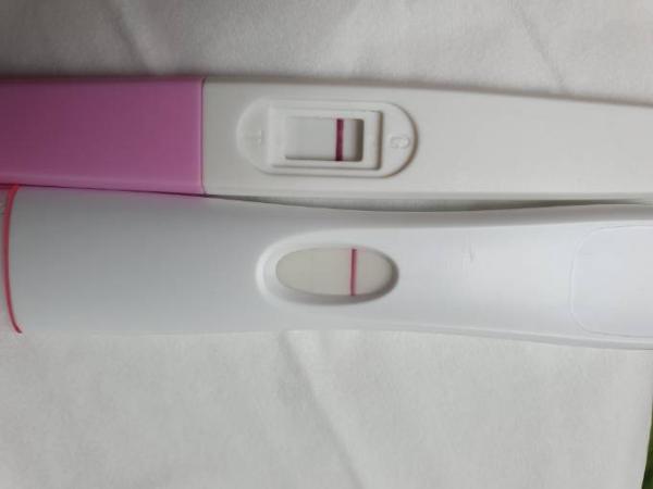 Bild zu Schwanger? - Kinderwunsch - bitte noch ein Baby