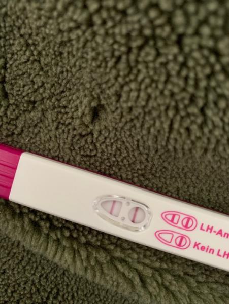 Bild zu Ovu positiv oder negativ ? - Kinderwunsch - bitte noch ein Baby