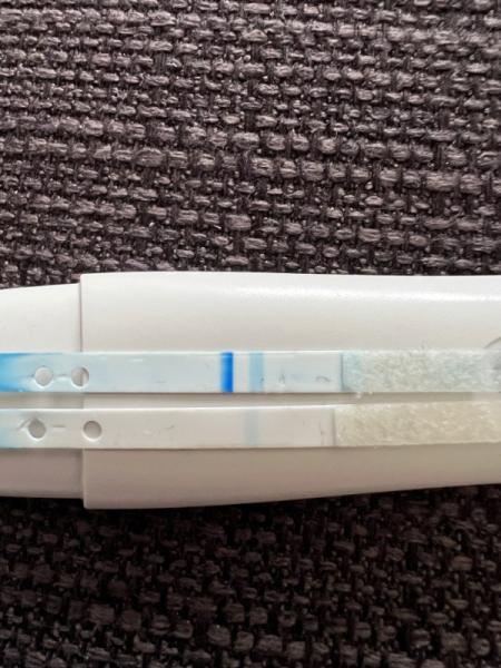 Bild zu Clearblue mit WB - Kinderwunsch - bitte noch ein Baby