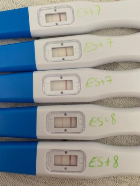 Bild zu Orakel mit Ovus - Kinderwunsch - bitte noch ein Baby