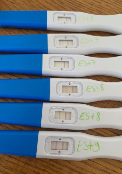 Bild zu Hilfe …. Ovu/ SST - Kinderwunsch - bitte noch ein Baby