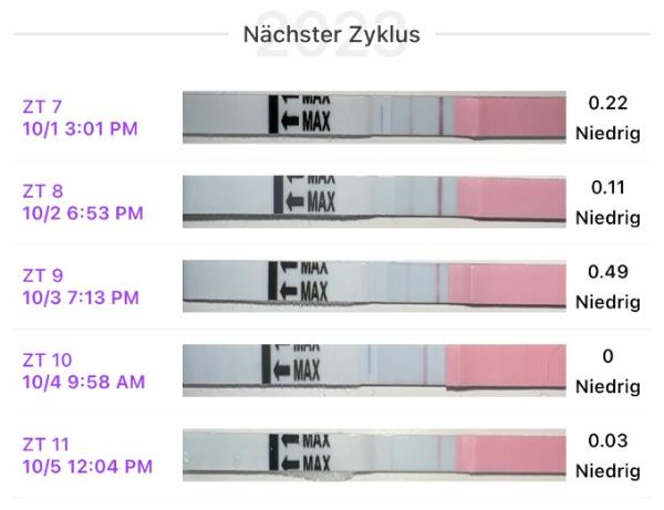 Bild zu Hilfe bei Ovulationstest - Kinderwunsch - bitte noch ein Baby