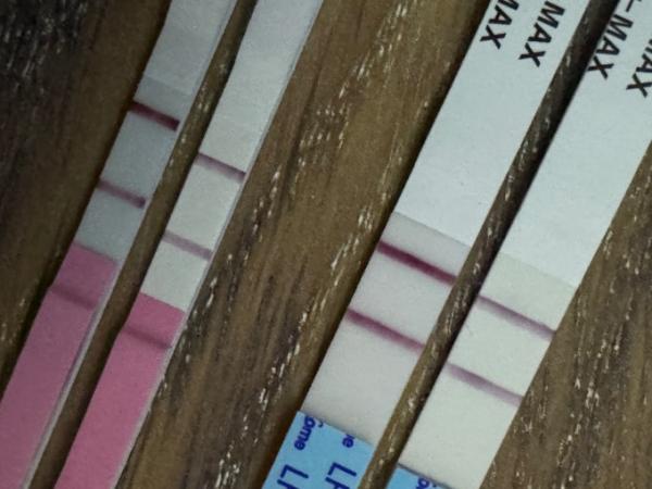 Bild zu Anstieg LH vor Periode - Kinderwunsch - bitte noch ein Baby