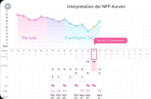 Bild zu Eisprung - Kinderwunsch - bitte noch ein Baby