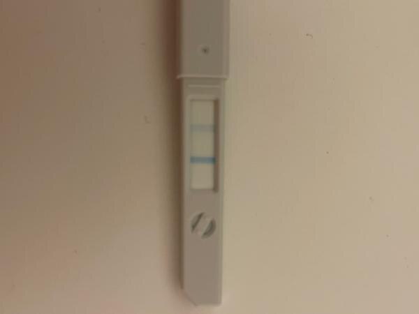 Bild zu ES+12 Ovu test - Kinderwunsch - bitte noch ein Baby