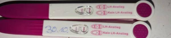 Bild zu Ovulationstest - Kinderwunsch - bitte noch ein Baby