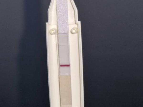 Bild zu Schwangerschafts Test - Kinderwunsch - bitte noch ein Baby