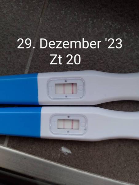 Bild zu Ovu Test immer noch positiv?? - Kinderwunsch - bitte noch ein Baby