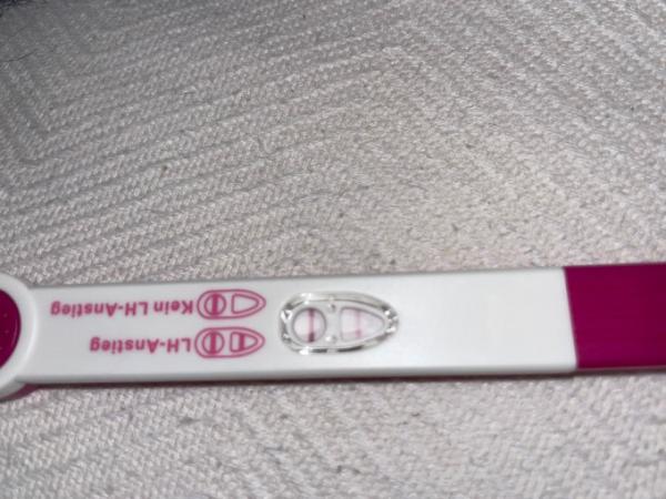 Bild zu Ovulationstest das erste mal benutzt.. - Kinderwunsch - bitte noch ein Baby
