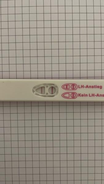 Bild zu Findet ihr den ovu positiv ? - Kinderwunsch - bitte noch ein Baby