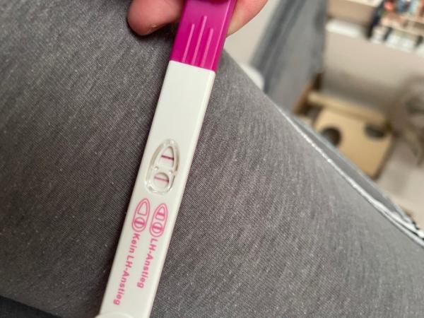 Bild zu Könnte mir jemand helfen ? Bzgl Ovus 🥺😀 - Kinderwunsch - bitte noch ein Baby