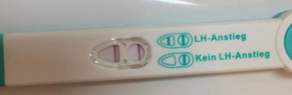 Bild zu Ovulationstest - Kinderwunsch - bitte noch ein Baby