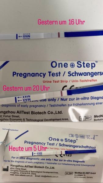 Bild zu Positiv ? - Kinderwunsch - bitte noch ein Baby