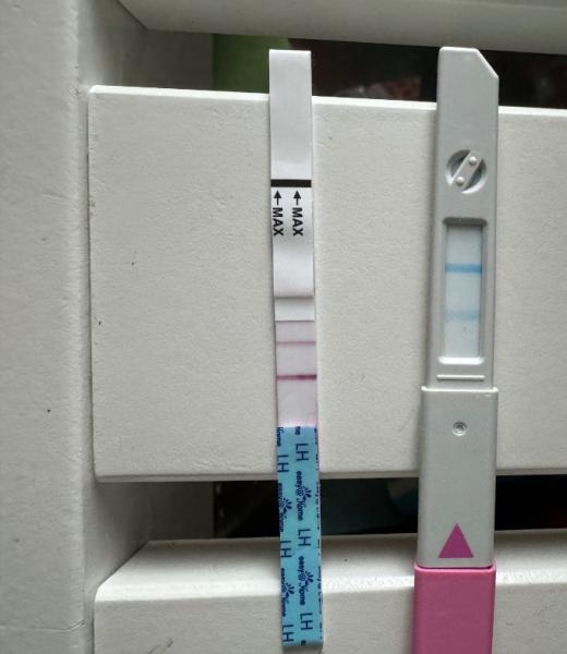 Bild zu Hilfeee - Kinderwunsch - bitte noch ein Baby