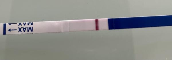 Bild zu Ist der Test positiv? - Kinderwunsch - bitte noch ein Baby