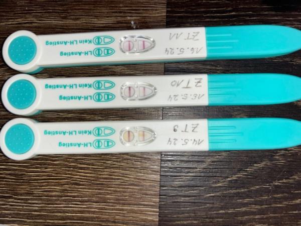 Bild zu Erste Ovutestreihe, positiv? Bin noch unsicher - Kinderwunsch - bitte noch ein Baby