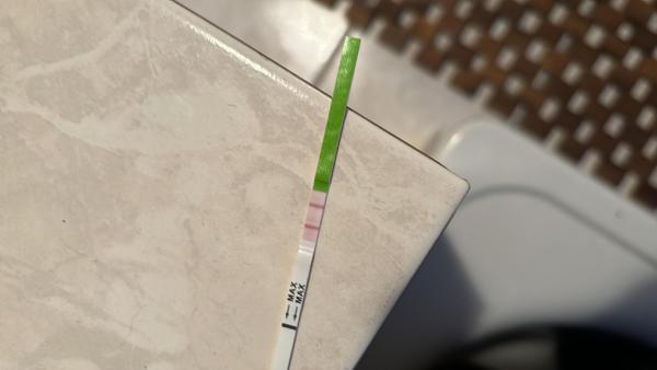 Bild zu Ovustreifen positiv, Clearblue negativ - Kinderwunsch - bitte noch ein Baby