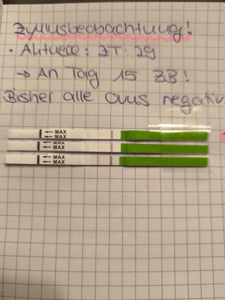 Bild zu Macht sich nun doch Ei bereit? - Kinderwunsch - bitte noch ein Baby