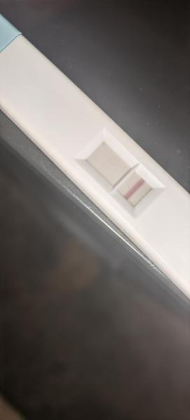 Bild zu Vielleicht schwanger - Kinderwunsch - bitte noch ein Baby