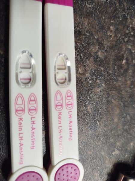 Bild zu Ovulationstest immer positiv? Achtung Foto Zervix Schleim! - Kinderwunsch - bitte noch ein Baby
