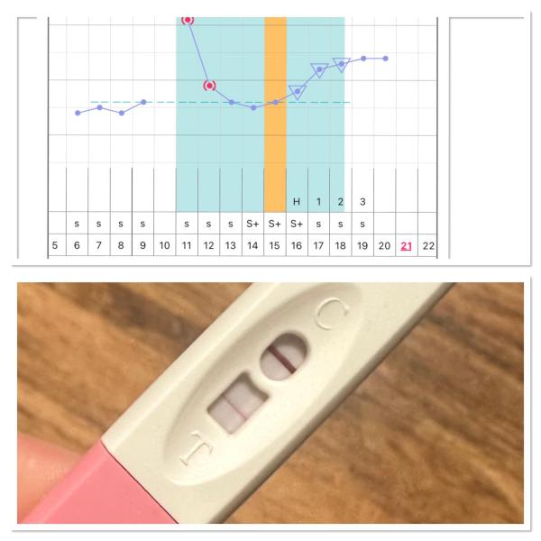 Bild zu Test an Eisprung +9 ungewöhnlich dick positiv - Kinderwunsch - bitte noch ein Baby