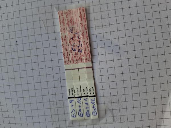 Bild zu Test wird nicht stärker :( - Kinderwunsch - bitte noch ein Baby