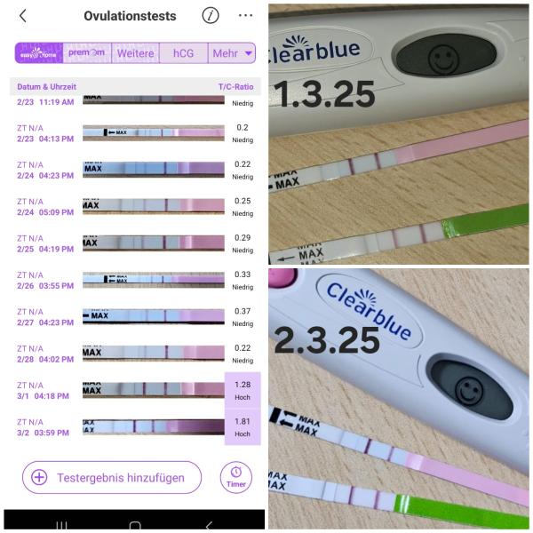 Bild zu Ovulationstest positiv hat es ausgereicht ? - Kinderwunsch - bitte noch ein Baby