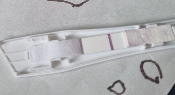 Bild zu ES+8/9 Tests von gestern - Kinderwunsch - bitte noch ein Baby