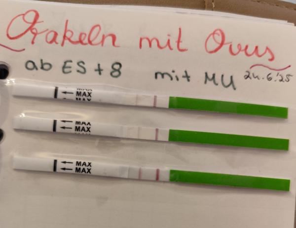 Bild zu Orakeln mit Ovus - Kinderwunsch - bitte noch ein Baby