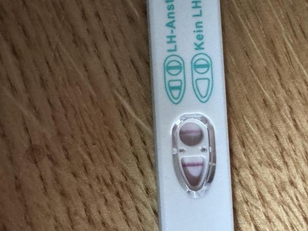 Bild zu Positiver ovu? - Kinderwunsch - bitte noch ein Baby