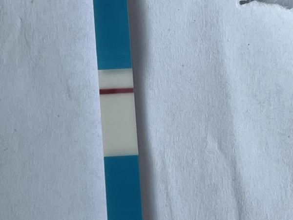 Bild zu Es 8 bitte um Antwort ob vl oder positiv - Kinderwunsch - bitte noch ein Baby
