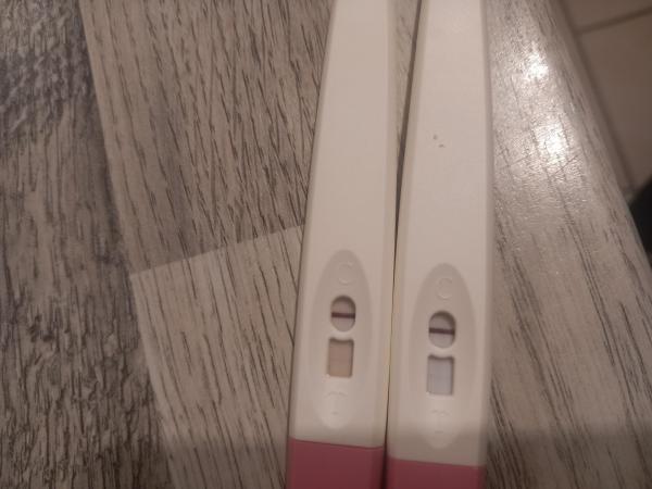 Bild zu Schwangerschaftstest - Kinderwunsch - bitte noch ein Baby
