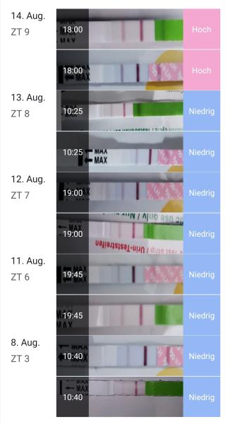 Bild zu Ovu Tests von Femometer Erfahrungen/positiv? - Kinderwunsch - bitte noch ein Baby