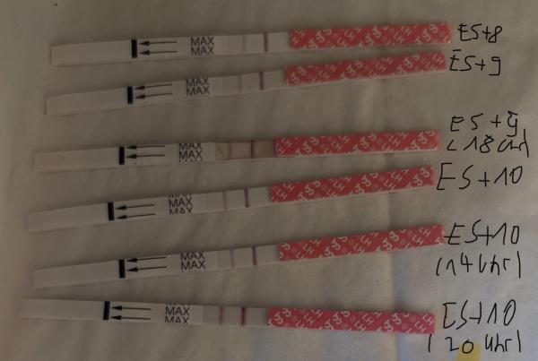 Bild zu Was haltet ihr von diesem Orakel? - Kinderwunsch - bitte noch ein Baby