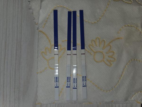 Bild zu Erfahrungen mit One Step SSTs - Kinderwunsch - bitte noch ein Baby