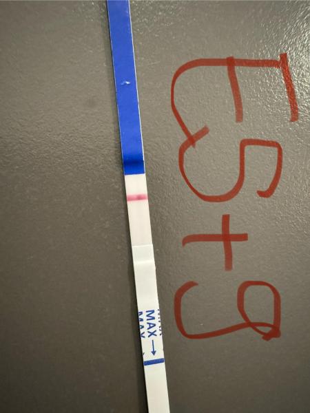 Bild zu Testreihe - Kinderwunsch - bitte noch ein Baby