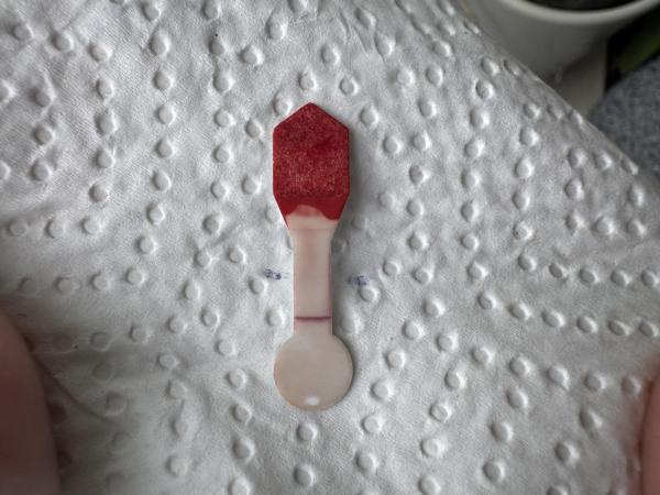 Bild zu First to know Test - Kinderwunsch - bitte noch ein Baby