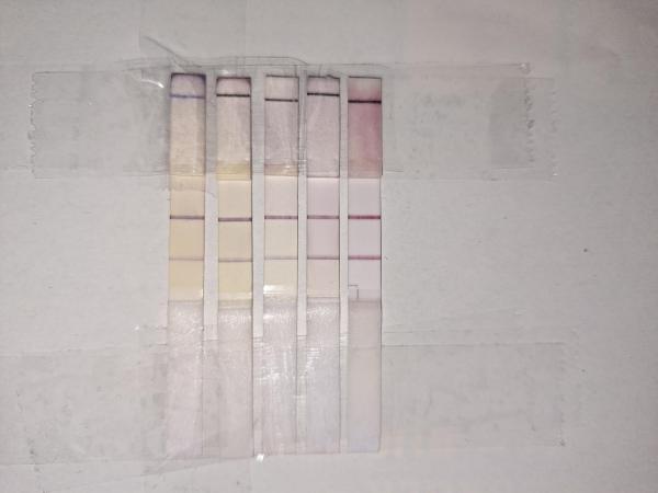 Bild zu Sieht der letzte positiv aus ? - Kinderwunsch - bitte noch ein Baby