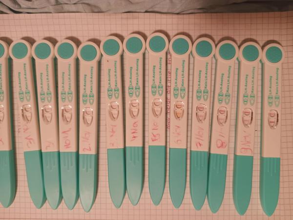 Bild zu Erste Mal ovutest ausprobiert - Kinderwunsch - bitte noch ein Baby