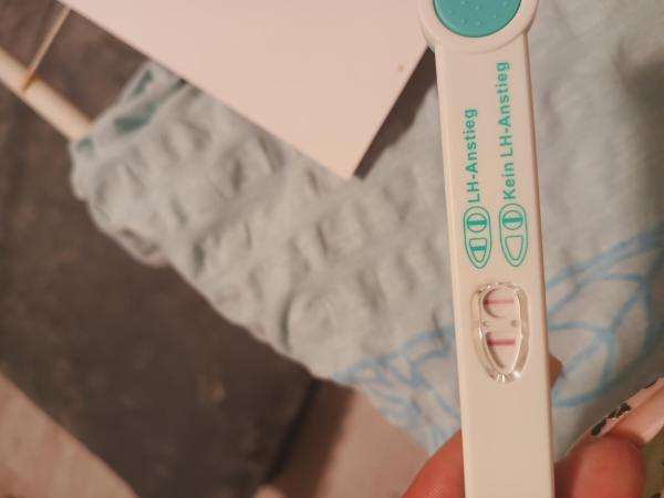 Bild zu Erste Mal ovutest ausprobiert - Kinderwunsch - bitte noch ein Baby